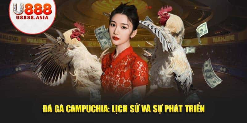 Đá gà Campuchia: Lịch sử và sự phát triển