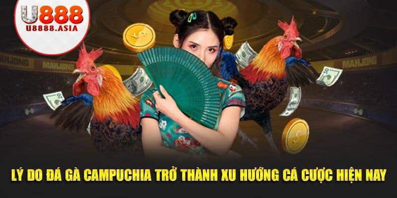 Lý do đá gà Campuchia trở thành xu hướng cá cược hiện nay