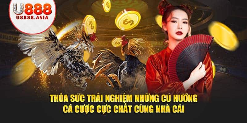 Cá nhân cần tỉnh táo khi đưa ra quyết định đặt tiền