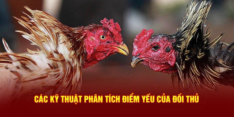 Các kỹ thuật phân tích điểm yếu của đối thủ