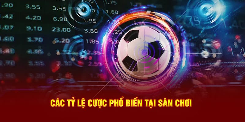 Mẹo cược tỷ lệ kèo U888 như dân chuyên