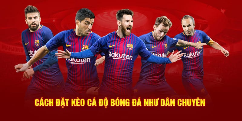 Cách đặt kèo cá độ bóng đá như dân chuyên