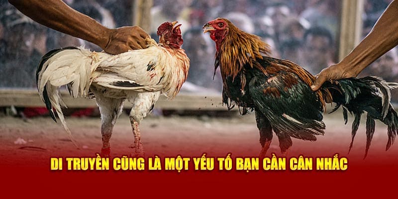 Di truyền cũng là một yếu tố bạn cần cân nhắc