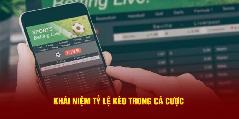 Giải thích khái niệm tỷ lệ kèo trong cá độ