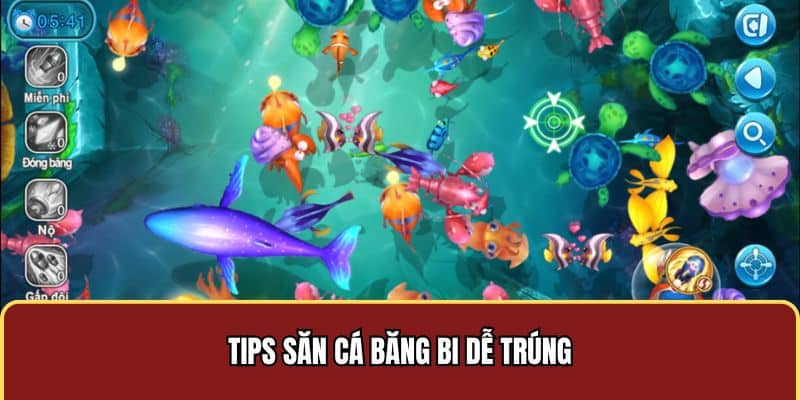 Tips săn cá băng bi dễ trúng