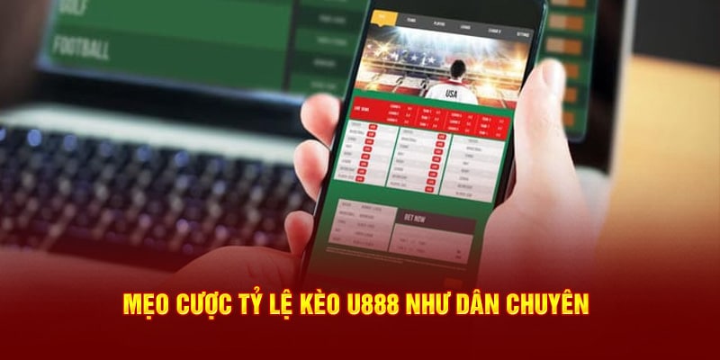 Các tỷ lệ cược phổ biến tại sân chơi